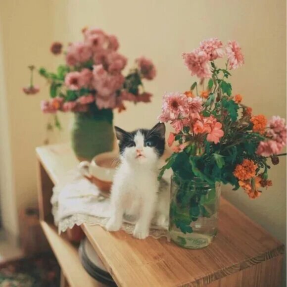 BAGGU Other - POSH SHOW LISTING - LOW STARTS!